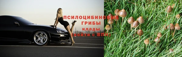 спиды Армянск