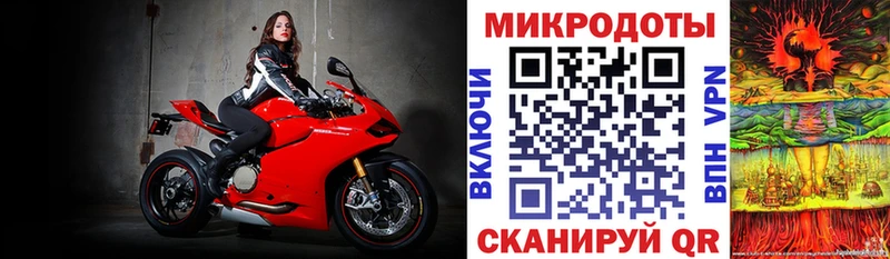 Галлюциногенные грибы мухоморы  где продают наркотики  Камбарка 