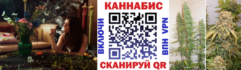 дарнет шоп  Камбарка  Марихуана SATIVA & INDICA 